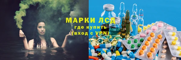 PSILOCYBIN Баксан